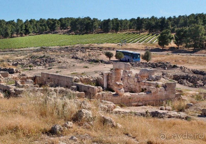 Альбом отзыва "Ботаника, археология и зеленая черта"
