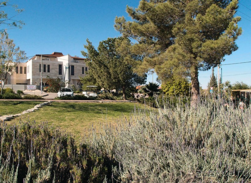 Альбом отзыва "Ботаника, археология и зеленая черта"