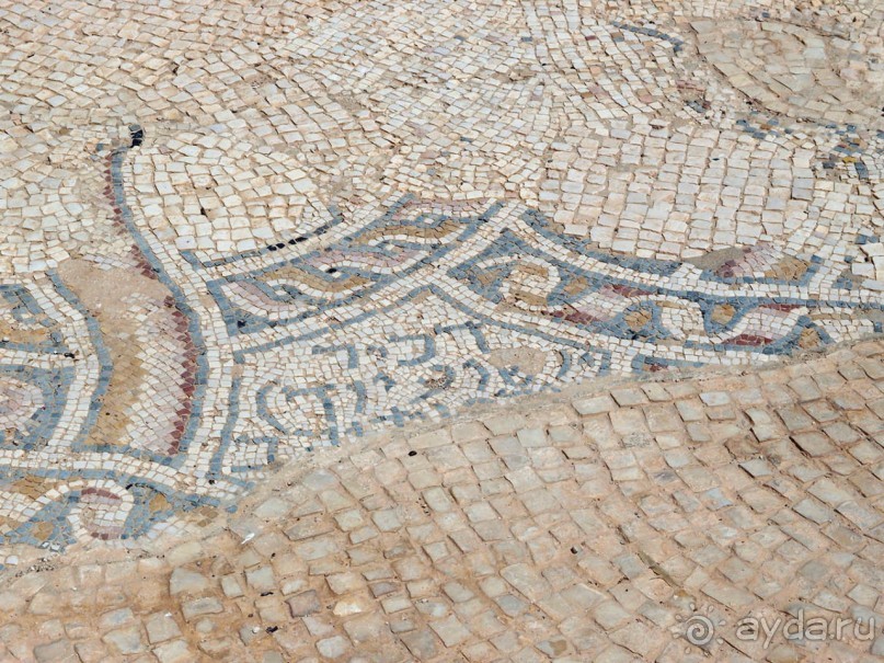 Альбом отзыва "Ботаника, археология и зеленая черта"