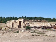 Альбом отзыва "Ботаника, археология и зеленая черта"