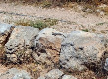 Альбом отзыва "Ботаника, археология и зеленая черта"