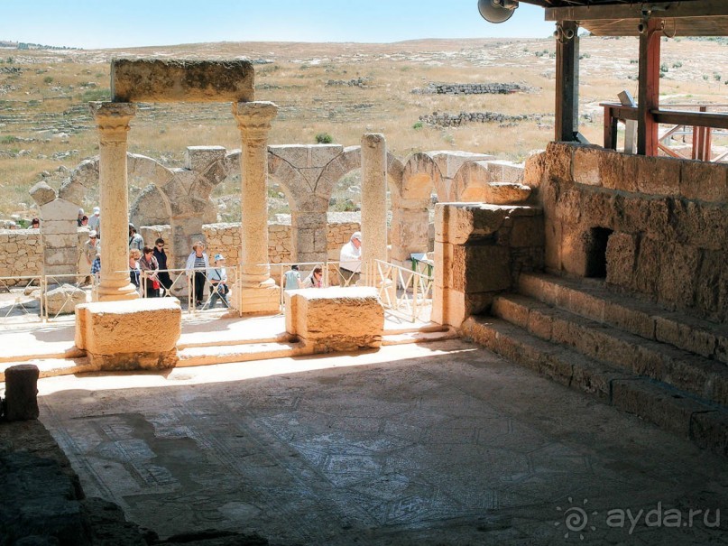 Ботаника, археология и зеленая черта