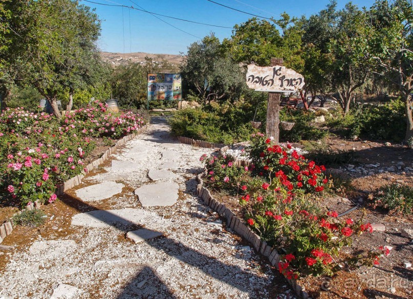 Ботаника, археология и зеленая черта