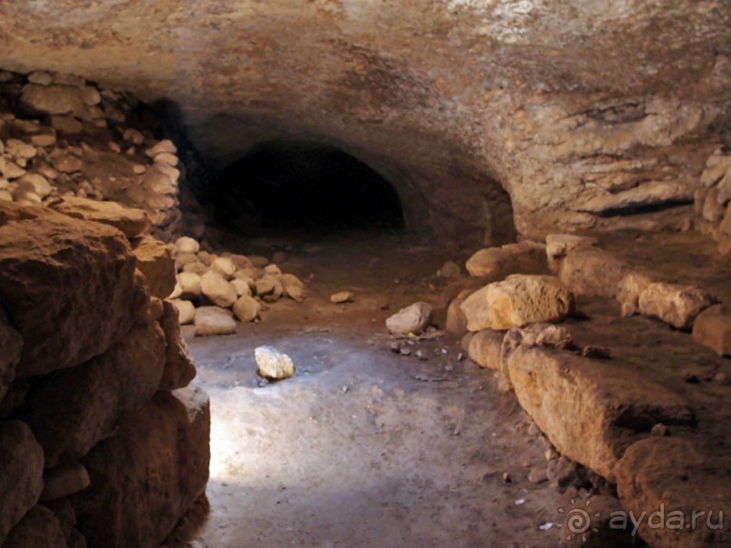 Ботаника, археология и зеленая черта