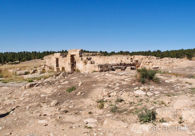 Ботаника, археология и зеленая черта