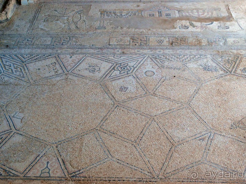 Ботаника, археология и зеленая черта