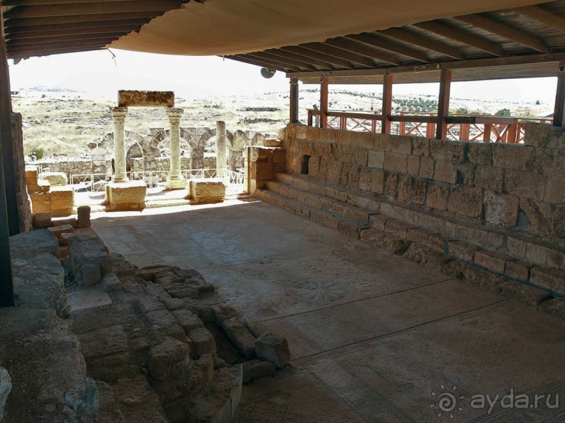 Ботаника, археология и зеленая черта