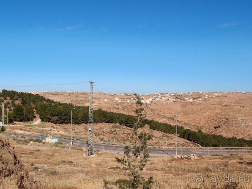 Ботаника, археология и зеленая черта