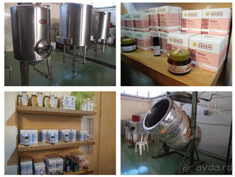 Ботаника, археология и зеленая черта