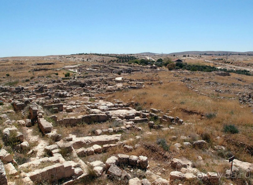 Ботаника, археология и зеленая черта