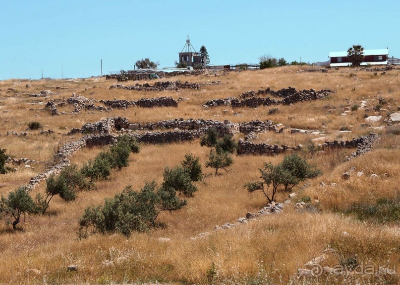 Ботаника, археология и зеленая черта