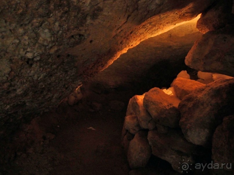 Ботаника, археология и зеленая черта