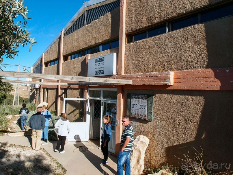 Ботаника, археология и зеленая черта