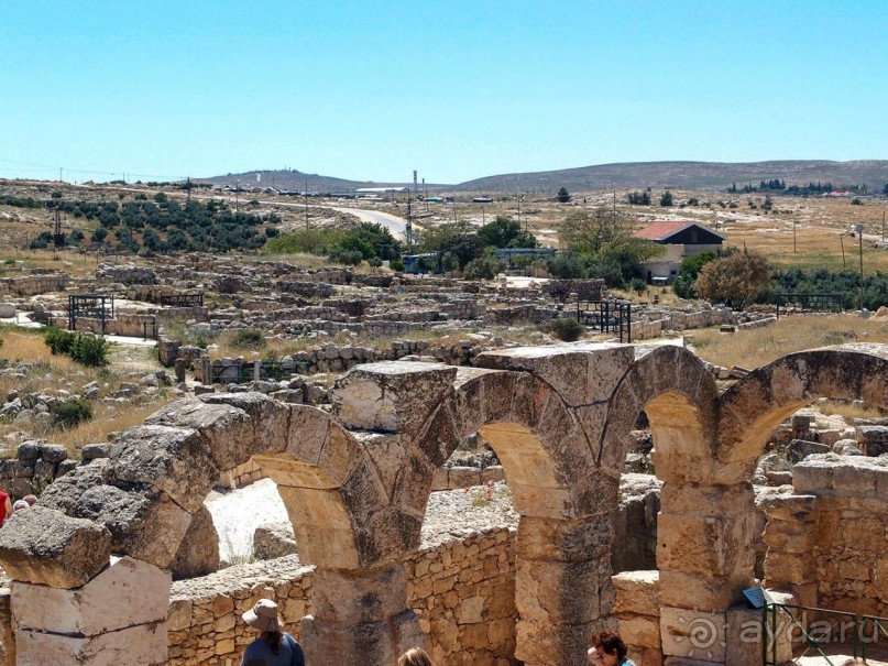 Ботаника, археология и зеленая черта