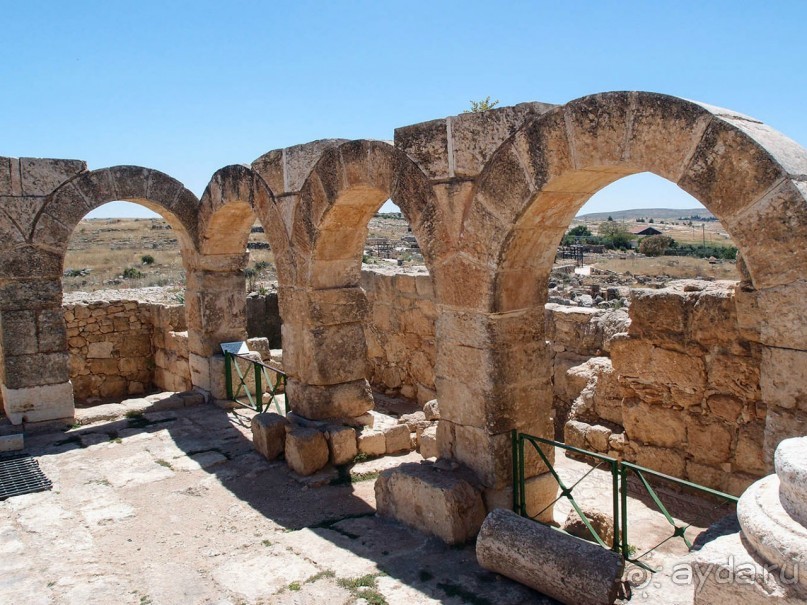 Ботаника, археология и зеленая черта