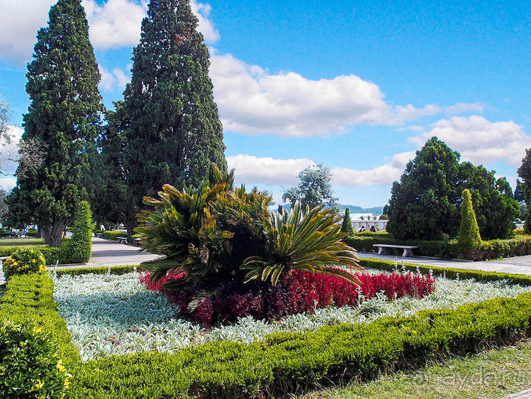 Чудо Вифлеемское