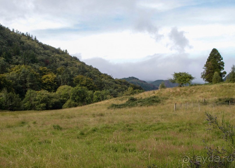 Глендалох. Под песню ветра и волынки