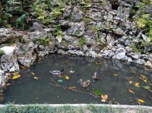 Трамвай №28