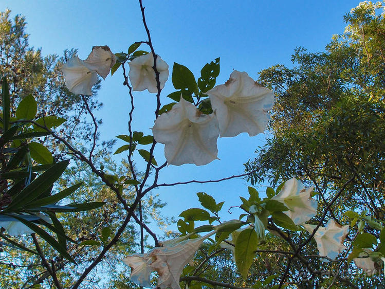 Трамвай №28