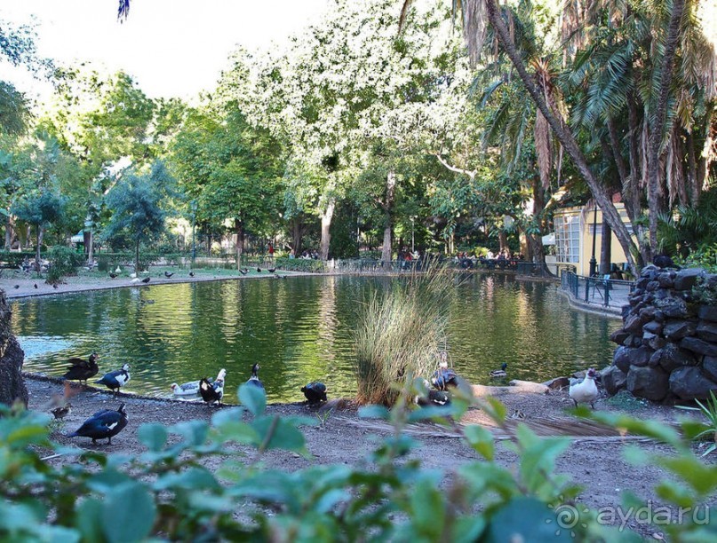 Трамвай №28