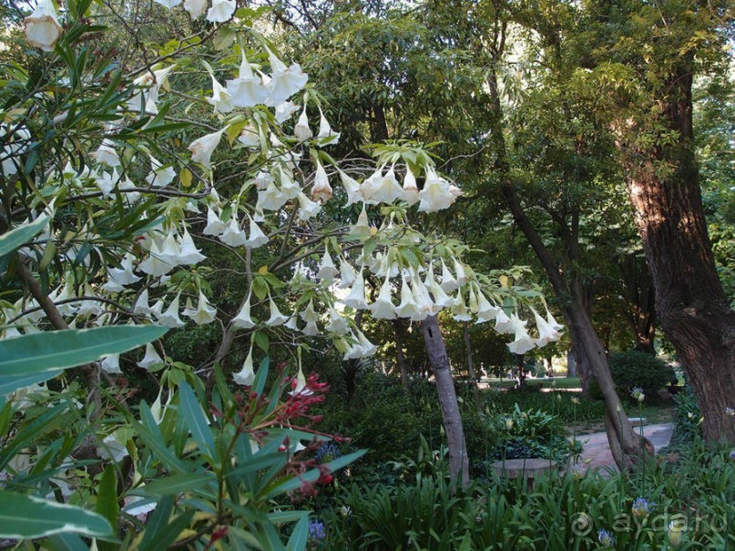 Трамвай №28