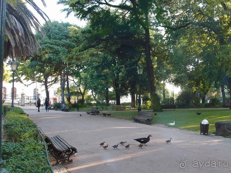 Трамвай №28