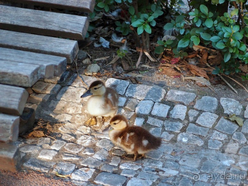 Трамвай №28