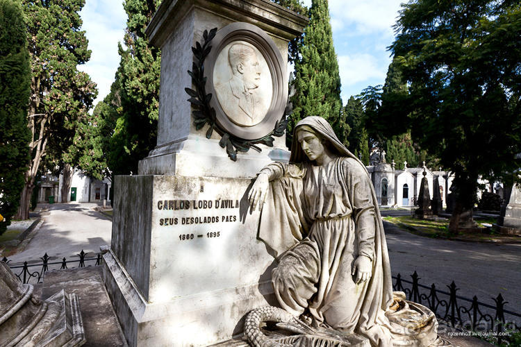 Трамвай №28