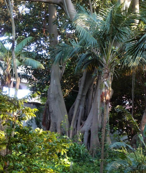 Трамвай №28