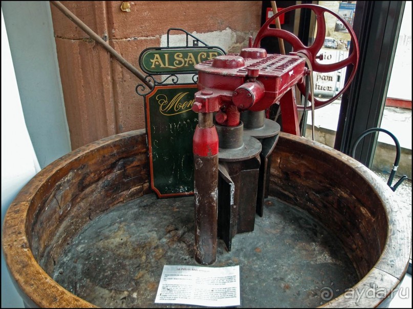 Крендель Багетович Гугельхупф