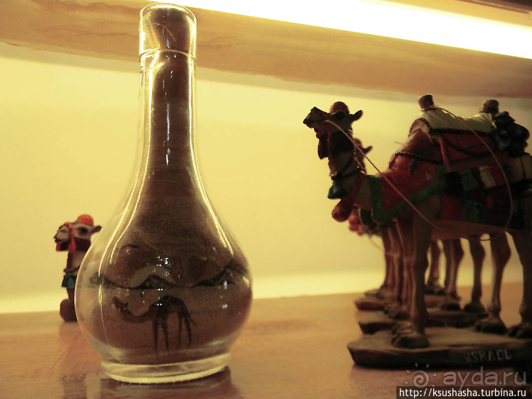 Тимна. В царстве красного песчаника