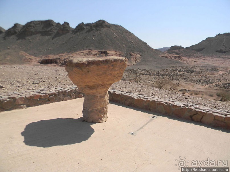 Альбом отзыва "Тимна. В царстве красного песчаника"