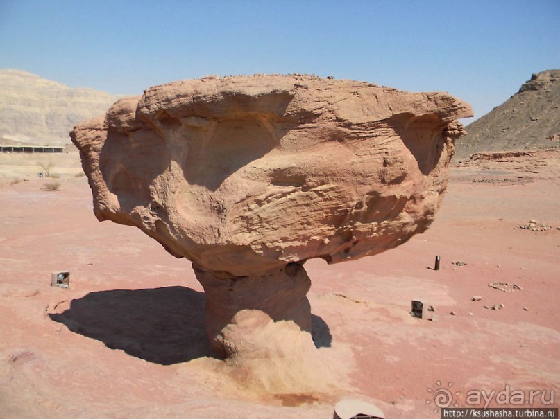 Альбом отзыва "Тимна. В царстве красного песчаника"