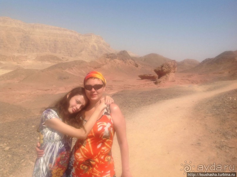 Альбом отзыва "Тимна. В царстве красного песчаника"