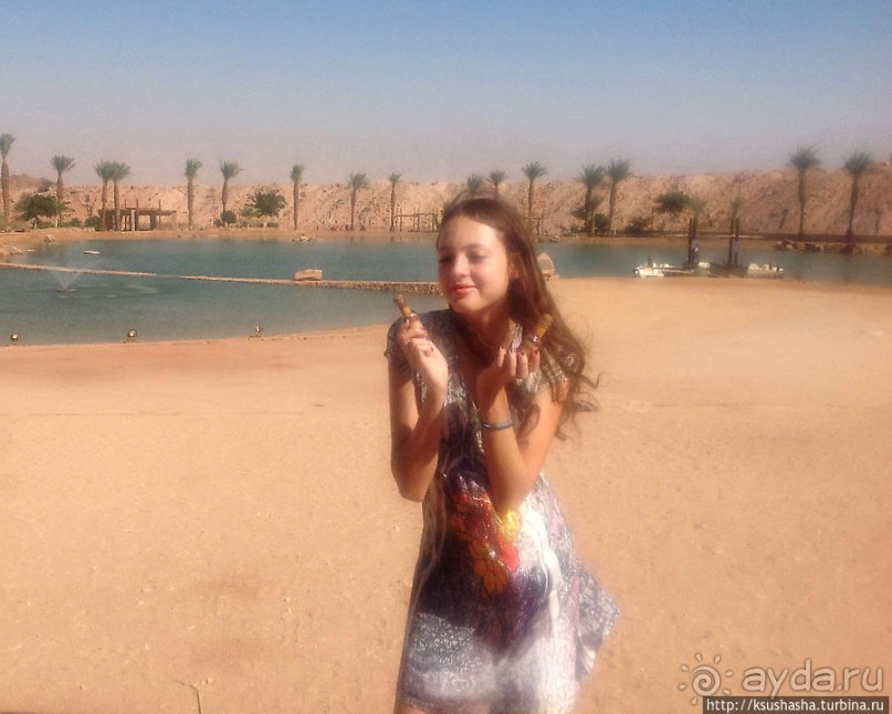 Альбом отзыва "Тимна. В царстве красного песчаника"