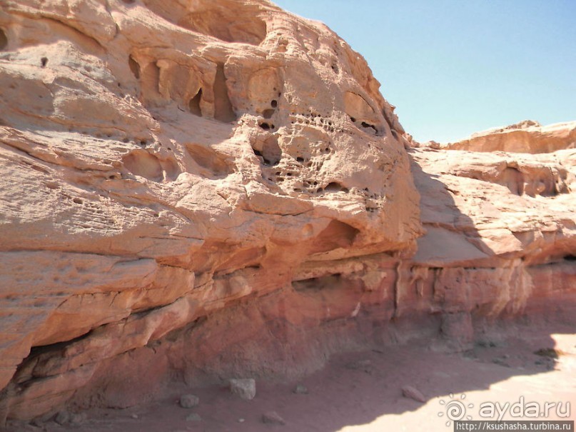 Альбом отзыва "Тимна. В царстве красного песчаника"