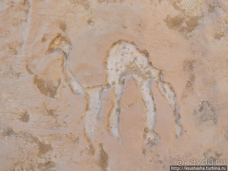 Тимна. В царстве красного песчаника