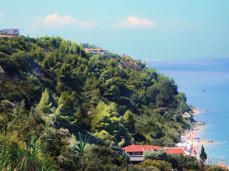 Солнечная Кассандра