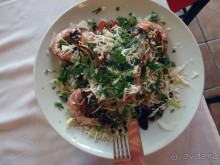 Солнечная Кассандра