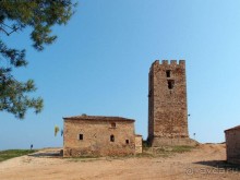 Солнечная Кассандра