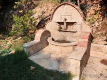 Солнечная Кассандра