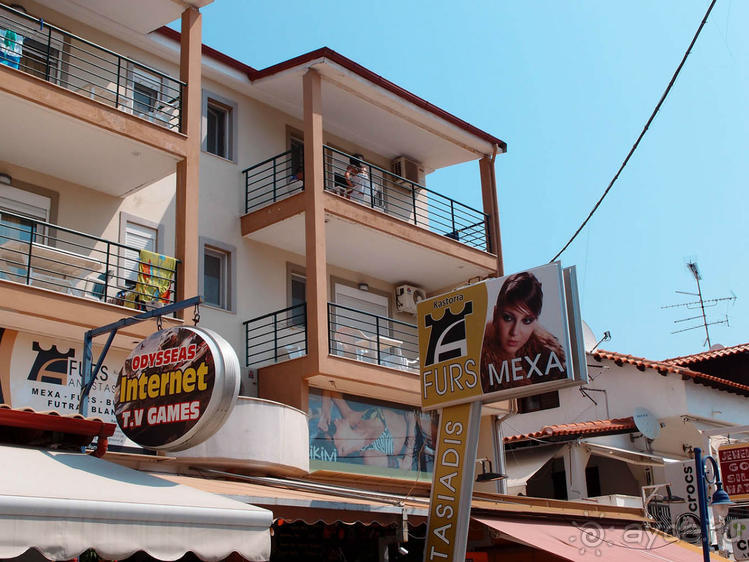 Солнечная Кассандра