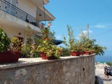 Солнечная Кассандра