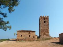 Солнечная Кассандра