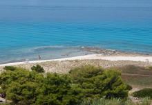 Солнечная Кассандра