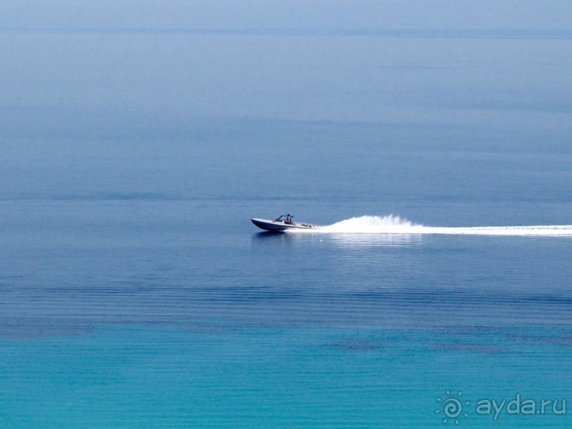 Солнечная Кассандра