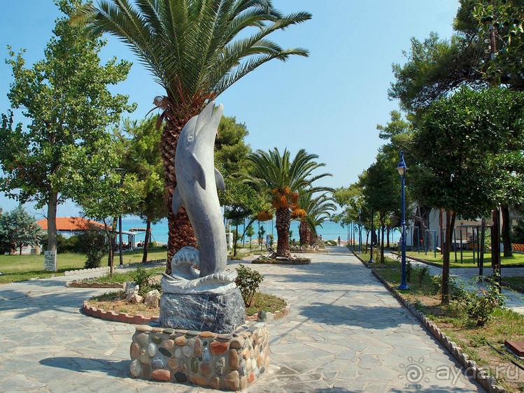 Солнечная Кассандра