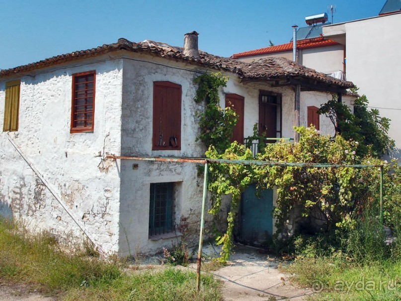 Солнечная Кассандра