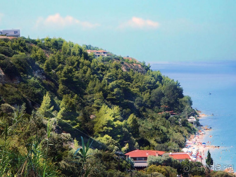 Солнечная Кассандра