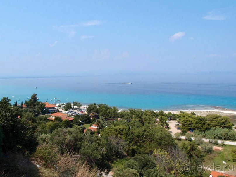 Солнечная Кассандра